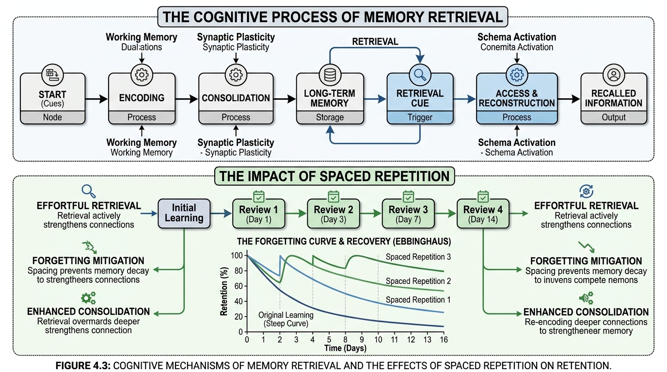 Memory retrieval and spaced repetition